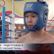 В Шымкенте проходит первенство города по кикбоксингу