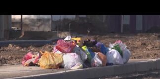 Шымкент все еще борется со стихийными свалками: есть ли толк?