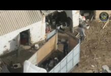 Дрон помог поймать скотокрадов в Туркестанской области