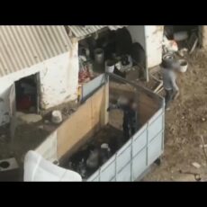 Дрон помог поймать скотокрадов в Туркестанской области