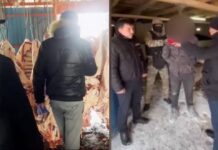 Полицейские вернули почти 500 голов скота в Туркестанской области