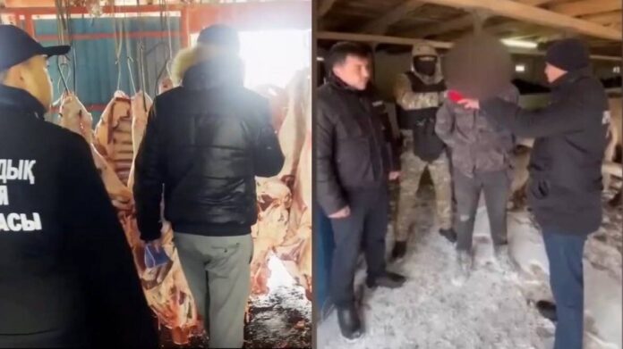 WhatsApp Image 2026-01-12 at 11.56.13