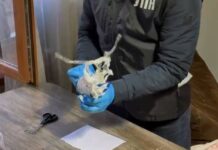 В Шымкенте задержали наркосбытчиков из Караганды с крупной партией мефедрона