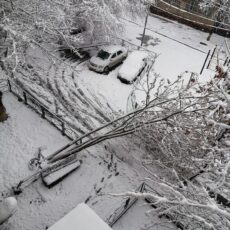 Почему снег в Шымкенте — бедствие городского масштаба