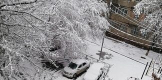 Почему снег в Шымкенте — бедствие городского масштаба