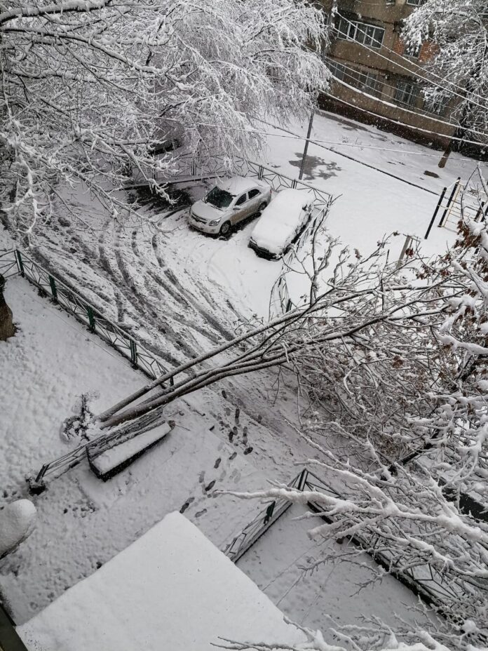 f13a7e32-1bb3-422a-b815-ab312ddf0181