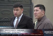 Жители Коксайека жалуются на сброс молочных стоков в канал