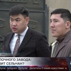 Жители Коксайека жалуются на сброс молочных стоков в канал