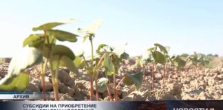В Туркестанской области субсидируют 134 тысячи тонн удобрений
