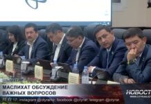 В Шымкенте скорректировали программу реновации жилых домов