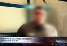 Сотни школьников «пообщались» с осужденными ровесниками с помощью телемоста в Шымкенте