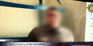 Сотни школьников «пообщались» с осужденными ровесниками с помощью телемоста в Шымкенте