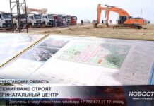 Современные перинатальные центры построят в Туркестанской области