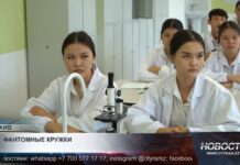 Фиктивные кружки: в регионах Казахстана проверяют школы и акиматы