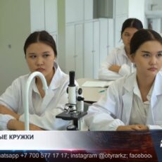 Фиктивные кружки: в регионах Казахстана проверяют школы и акиматы