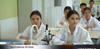 Фиктивные кружки: в регионах Казахстана проверяют школы и акиматы