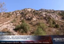 Эко-этнографическую зону отдыха построят в Туркестанской области