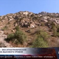 Эко-этнографическую зону отдыха построят в Туркестанской области