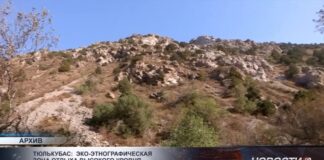 Эко-этнографическую зону отдыха построят в Туркестанской области