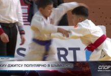 В Шымкенте прошло первенство города по джиу-джитсу