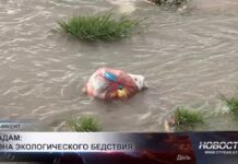 Более 900 кг рыбы погибло в реке Бадам