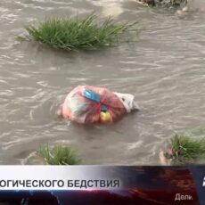 Более 900 кг рыбы погибло в реке Бадам