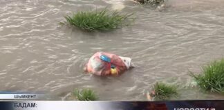 Более 900 кг рыбы погибло в реке Бадам