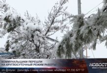 Коммунальщики Шымкента перешли на круглосуточный режим работы