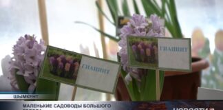 Дети превратили детский сад в круглогодичный источник витаминов