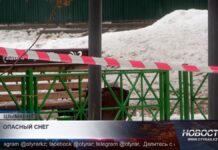 «Погибший под деревом мальчик был не один»- о трагедии в Шымкенте