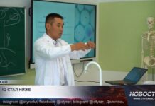 Средний IQ казахстанцев снижается