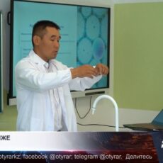 Средний IQ казахстанцев снижается