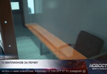 Почку за 13 млн тенге пытался продать житель Туркестанской области