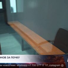 Почку за 13 млн тенге пытался продать житель Туркестанской области