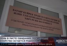 Любовь сильнее болезни: жена стала донором почки для супруга