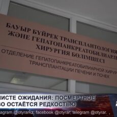 Любовь сильнее болезни: жена стала донором почки для супруга