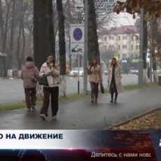 Более 2 млн тенге взыскали в пользу жительницы Шымкента за некачественный протез