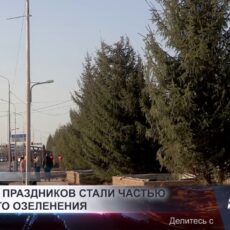 Новогодние ели украсили улицы Шымкента