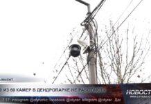 Почти 70 % камер в Дендропарке оказались нерабочими