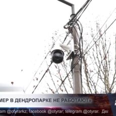 Почти 70 % камер в Дендропарке оказались нерабочими