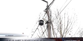 Почти 70 % камер в Дендропарке оказались нерабочими