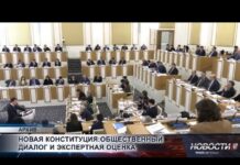 Проект новой Конституции прошёл экспертизу и всенародное обсуждение