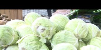 Новые правила выкладки соцтоваров вызвали критику предпринимателей