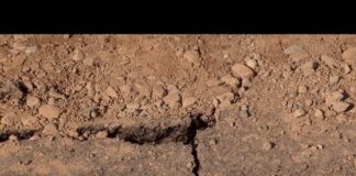 В Шымкенте участок новой дороги обрушился после осадков