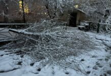 Акимат Шымкента призывает жителей соблюдать осторожность из-за снегопада