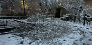 Акимат Шымкента призывает жителей соблюдать осторожность из-за снегопада