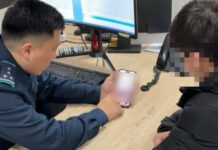 Фейковые интернет-магазины: в Туркестанской области задержан подозреваемый