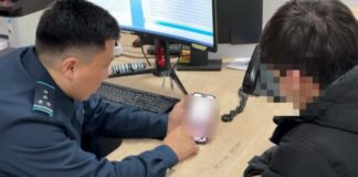 Фейковые интернет-магазины: в Туркестанской области задержан подозреваемый