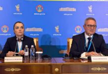 Референдум очень хорошо организован — глава Итальянского института по вопросам Азии