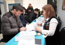 Миссия МПА СНГ не зафиксировала замечаний к организации референдума в Казахстане